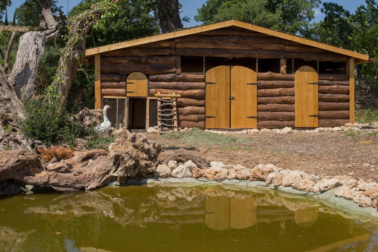 Bauernhof Agriturismo Le Anfore Sarteano
